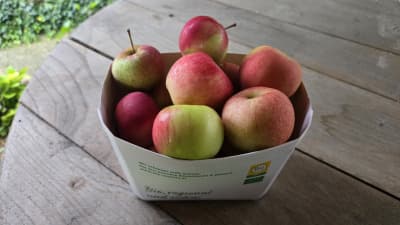 Bio "Mini Äpfel" von Biohof Wechselauer