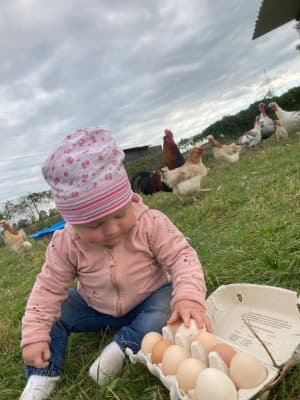 Bio Freiland Eier von BIOHOF BARON