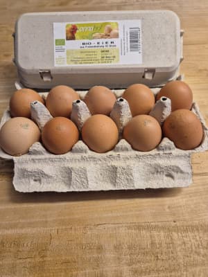 Eier biologisch 10 Stück groß von Annahof - biologische Landwirtschaft Fam. Schabbauer