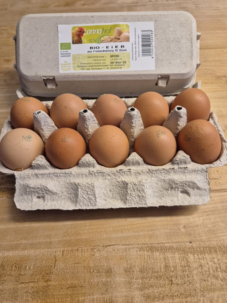 Eier biologisch 10 Stück groß