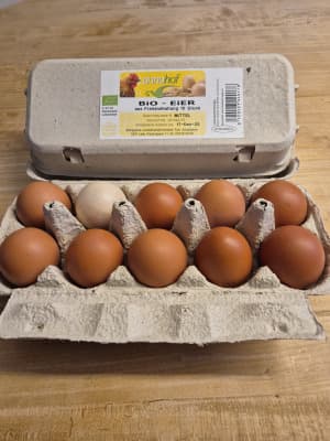 Eier biologisch 10 Stück mittel von Annahof - biologische Landwirtschaft Fam. Schabbauer
