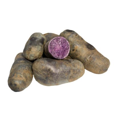 Violette - Kartoffel