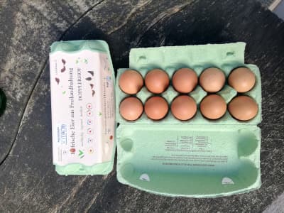 Eier aus Freilandhaltung Größe M