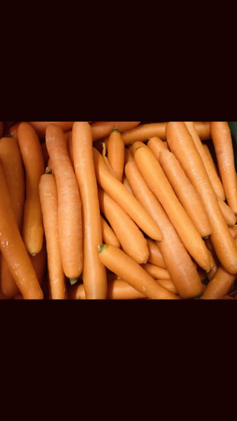 Karotten orange "Sissi"