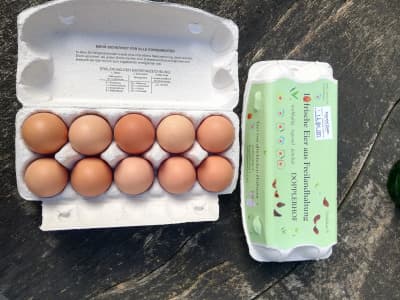 Eier aus Freilandhaltung Größe L