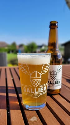 Gallier Sommer 6-Pack von Gallier Bräu